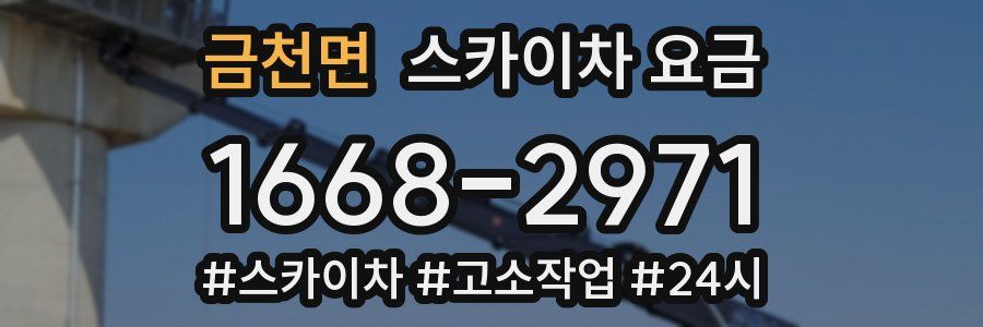 금천면 스카이차 요금