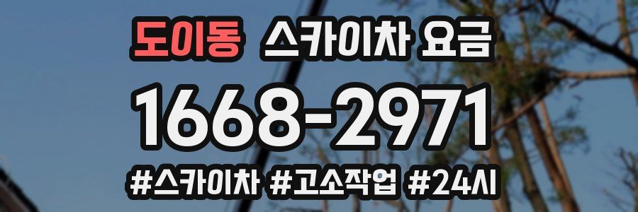 도이동 스카이차 요금