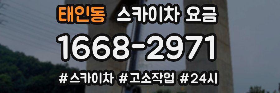 태인동 스카이차 요금