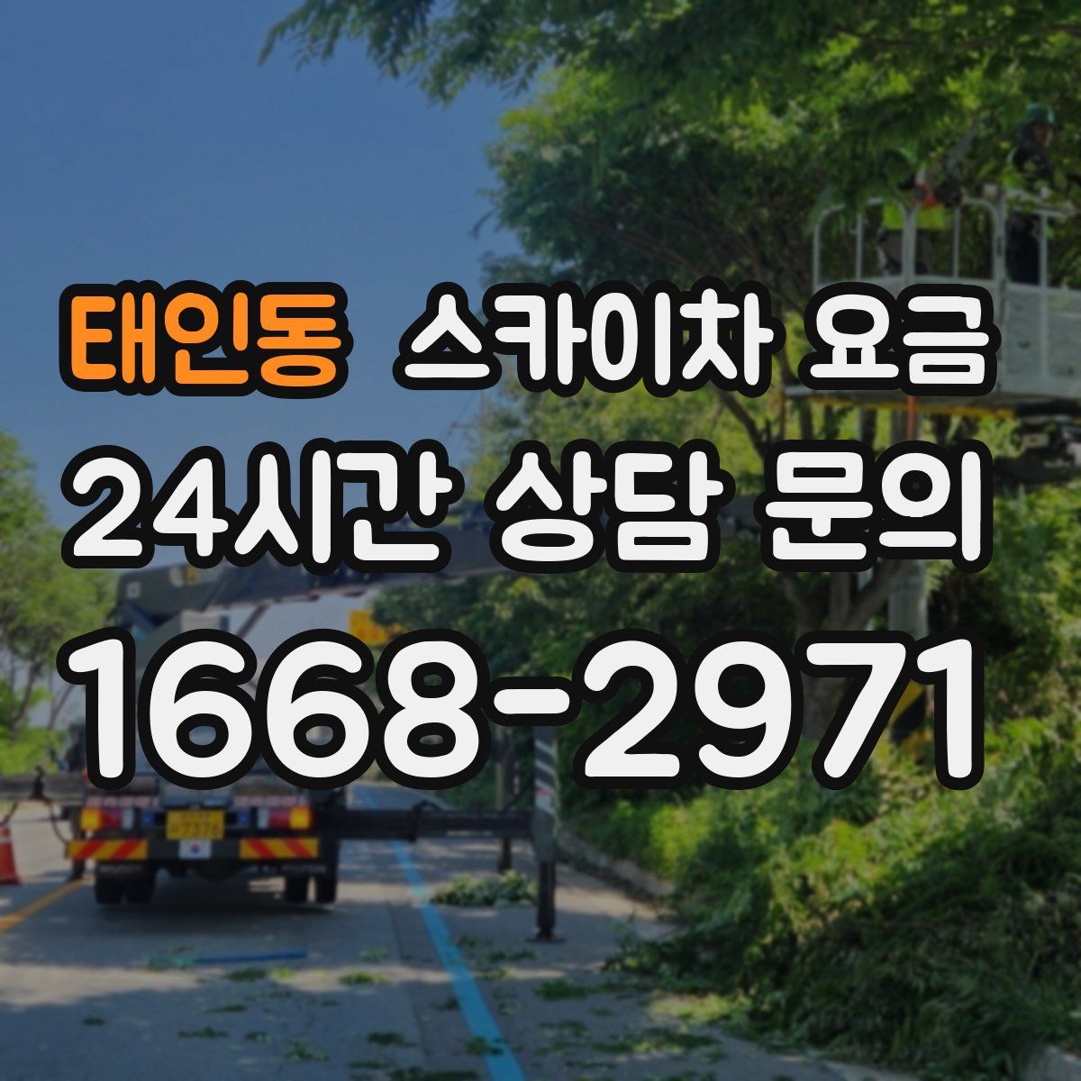 태인동 스카이차 요금