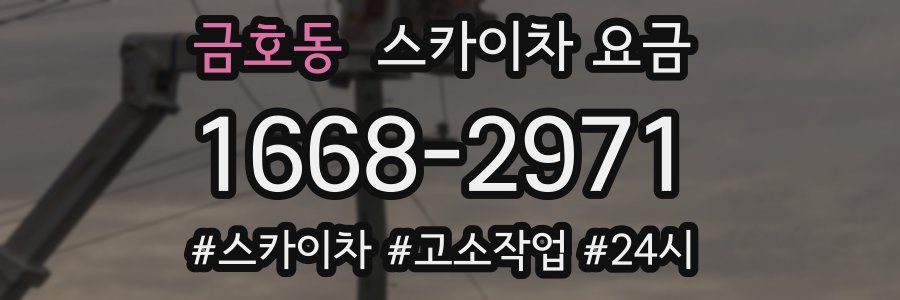 금호동 스카이차 요금