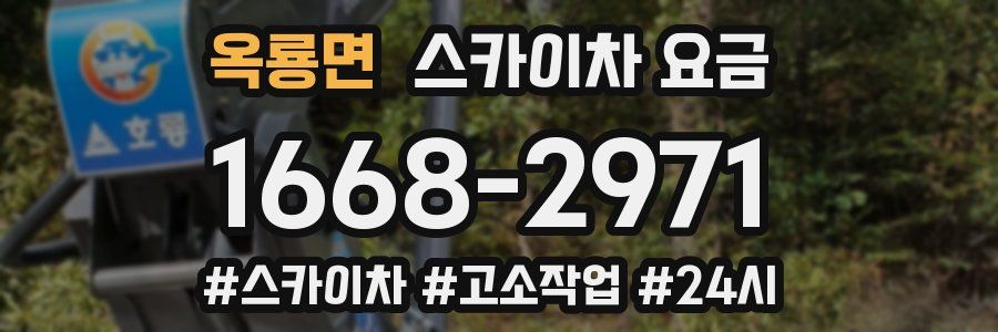 옥룡면 스카이차 요금
