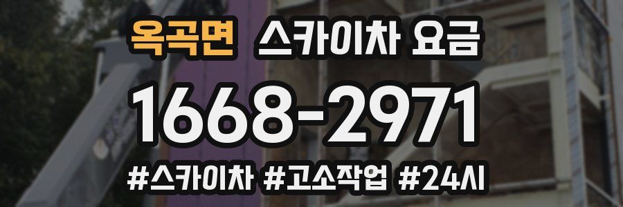 옥곡면 스카이차 요금