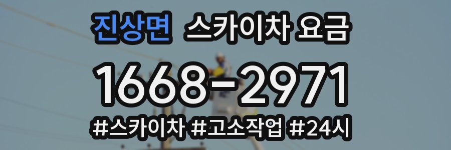 진상면 스카이차 요금