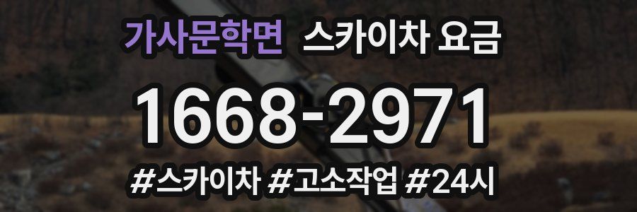 가사문학면 스카이차 요금