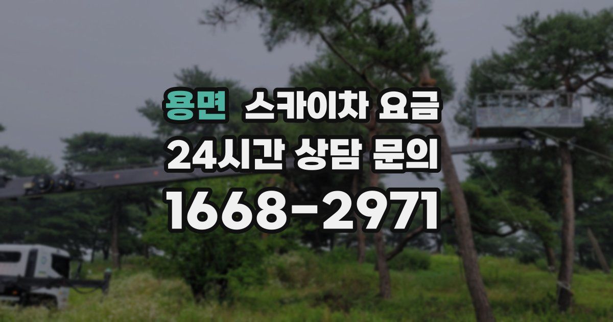 용면 스카이차 요금