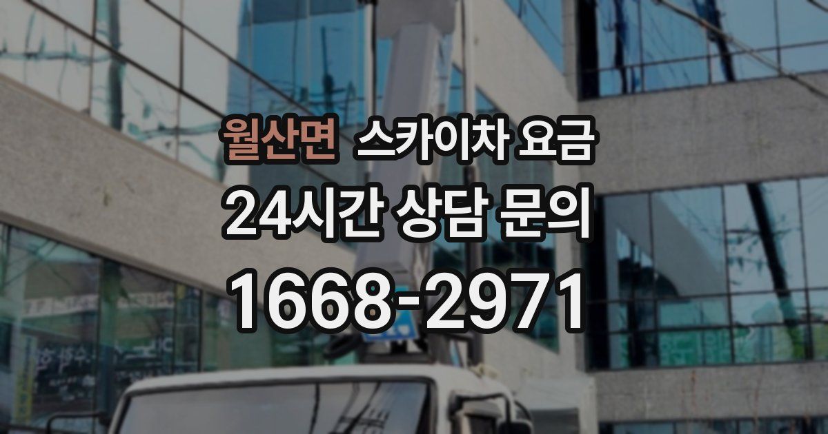 월산면 스카이차 요금