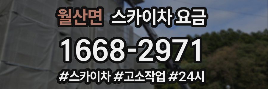 월산면 스카이차 요금