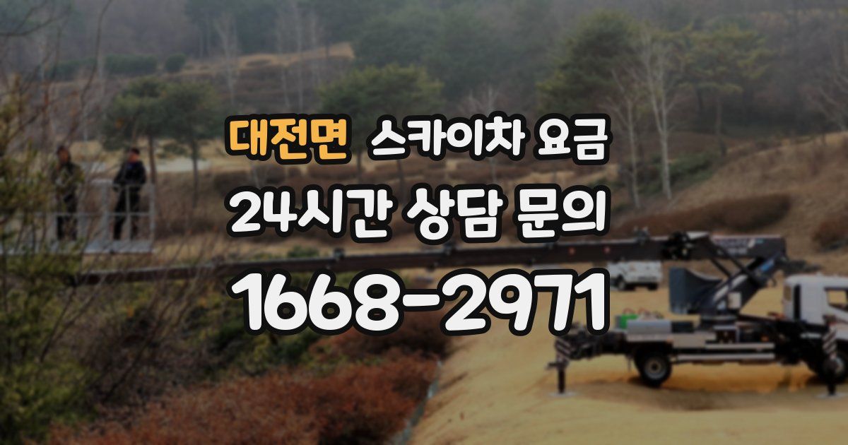 대전면 스카이차 요금