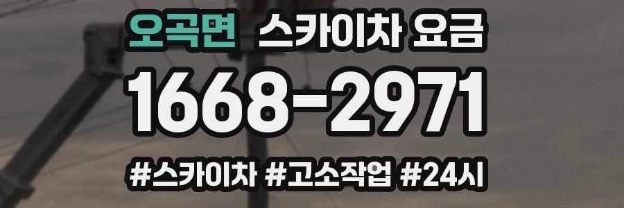 오곡면 스카이차 요금