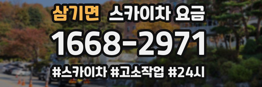 삼기면 스카이차 요금