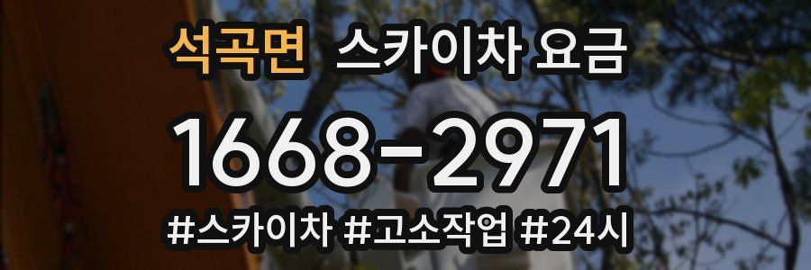 석곡면 스카이차 요금