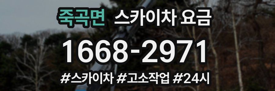 죽곡면 스카이차 요금