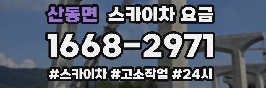 산동면 스카이차 요금