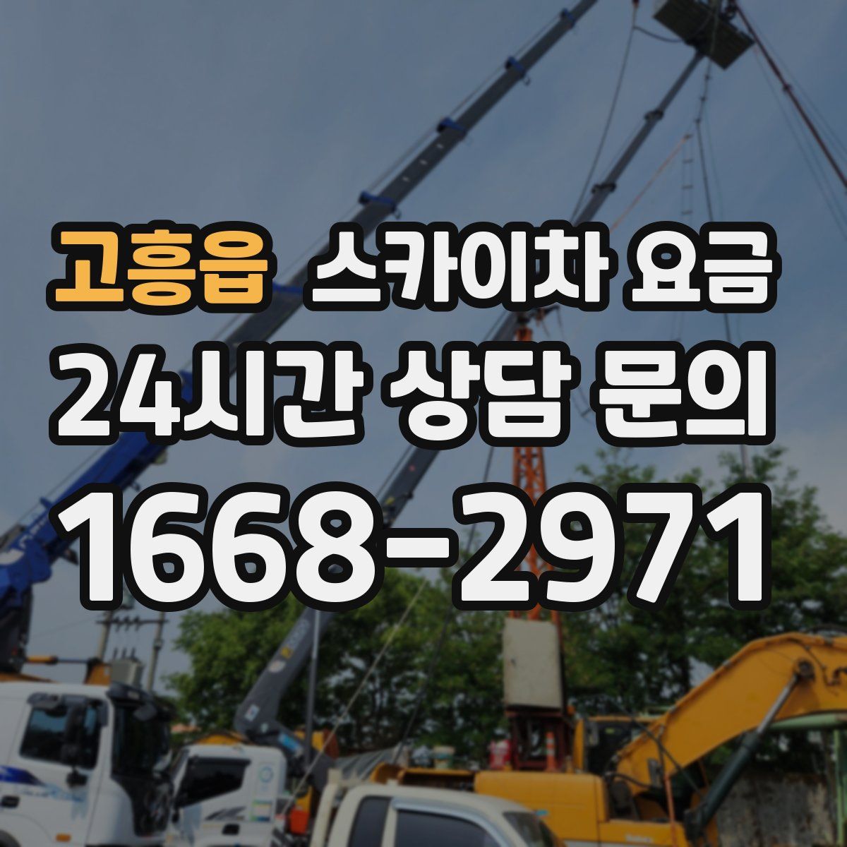 고흥읍 스카이차 요금