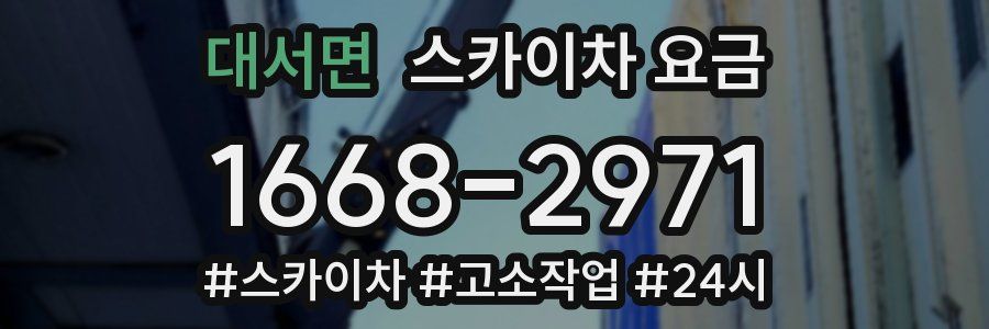 대서면 스카이차 요금