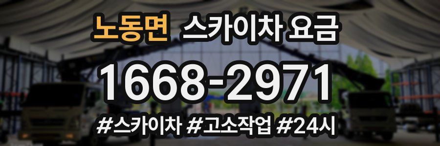 노동면 스카이차 요금