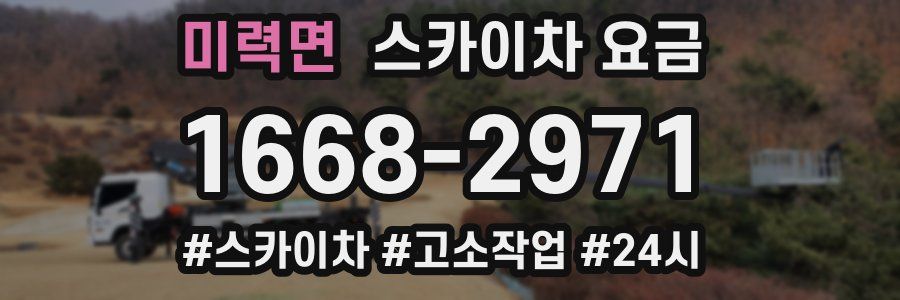 미력면 스카이차 요금