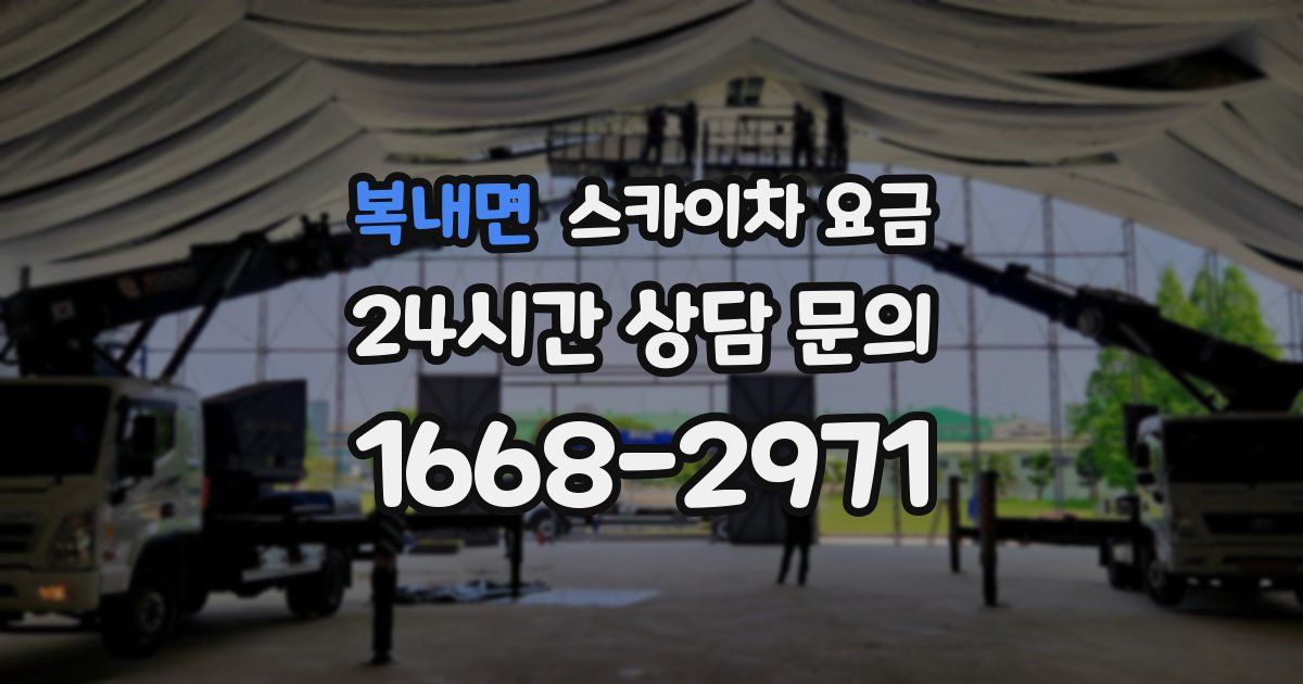 복내면 스카이차 요금