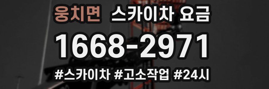 웅치면 스카이차 요금