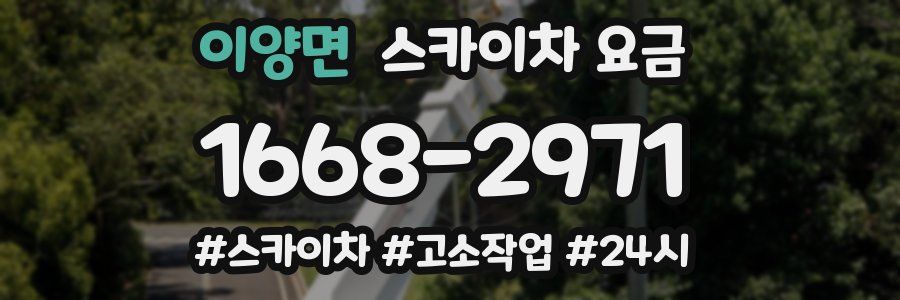이양면 스카이차 요금