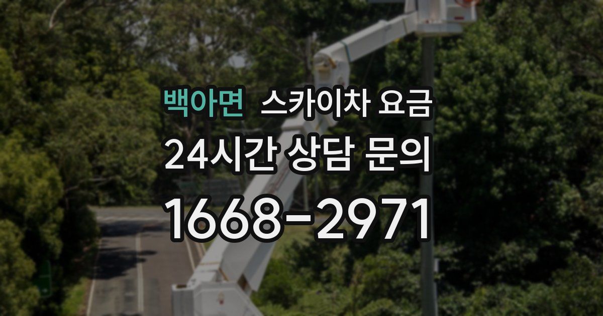백아면 스카이차 요금