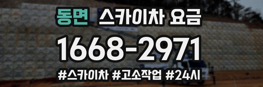 동면 스카이차 요금