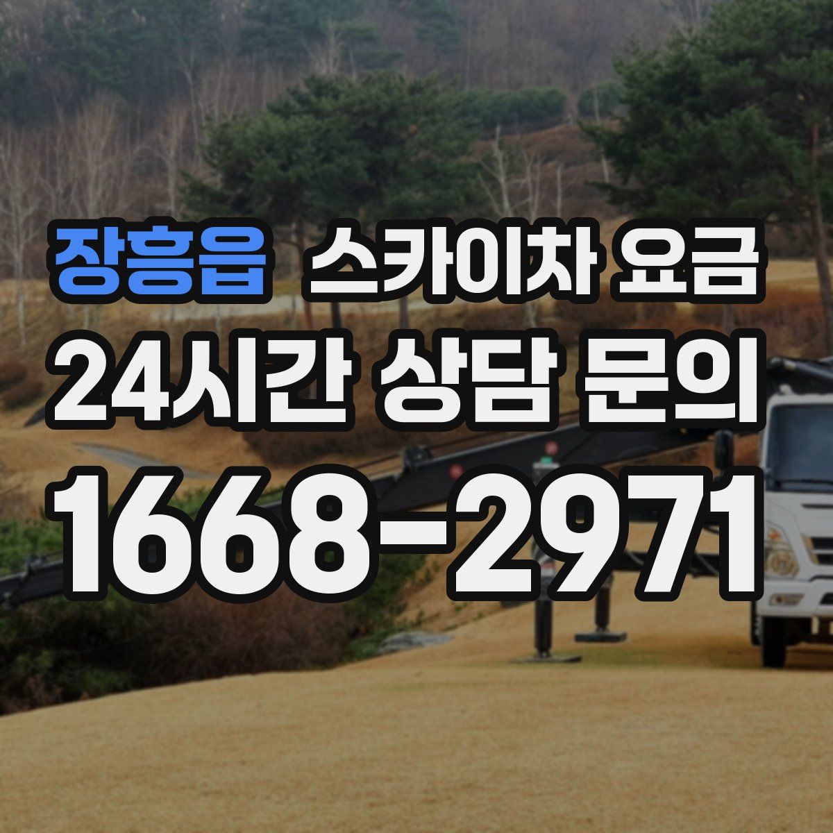 장흥읍 스카이차 요금