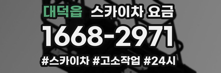 대덕읍 스카이차 요금