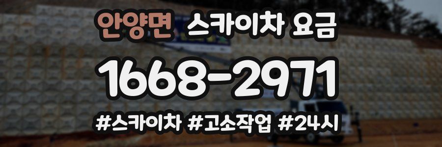 안양면 스카이차 요금