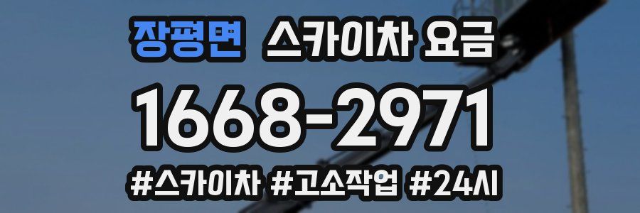 장평면 스카이차 요금