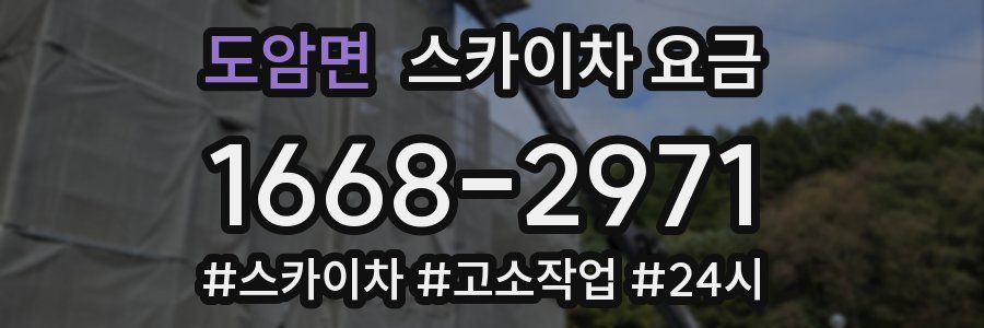 도암면 스카이차 요금