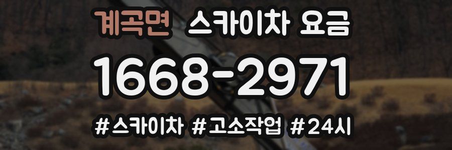 계곡면 스카이차 요금