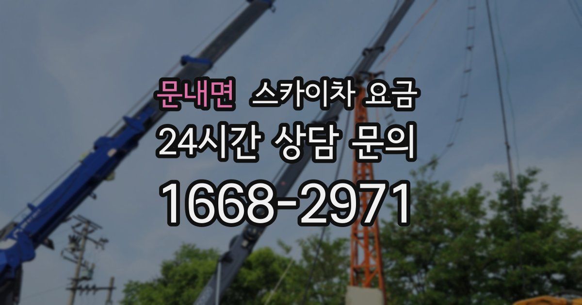 문내면 스카이차 요금
