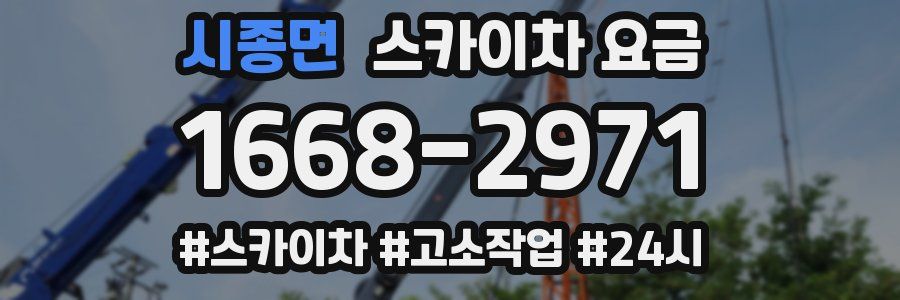 시종면 스카이차 요금