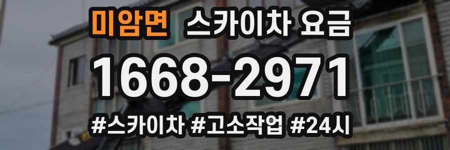 미암면 스카이차 요금