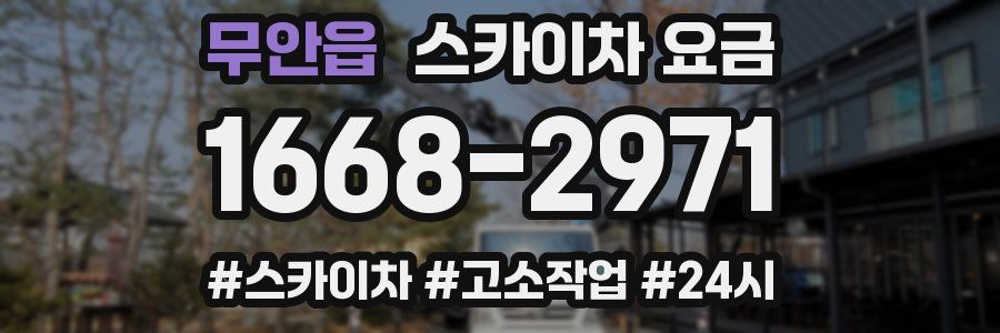 무안읍 스카이차 요금