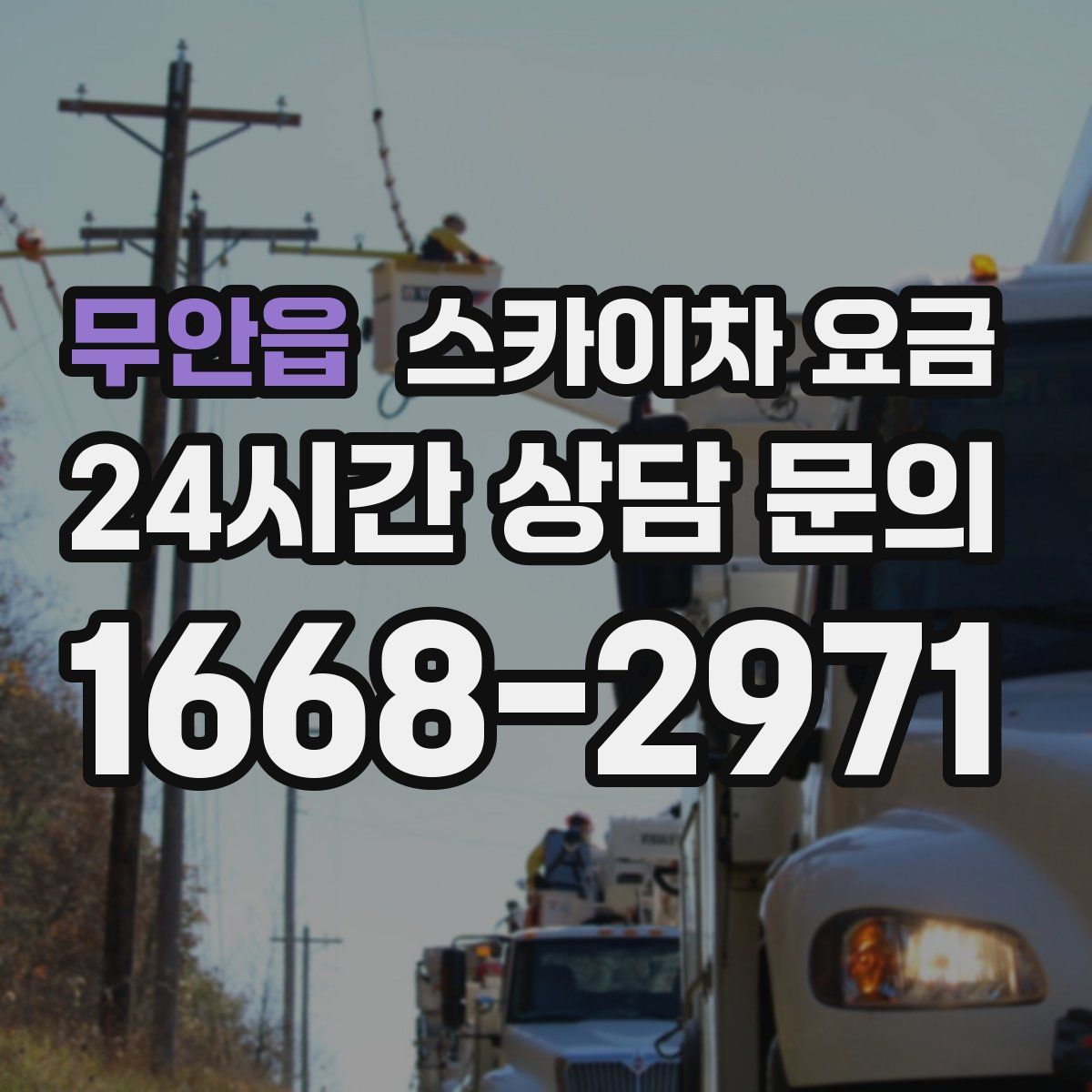 무안읍 스카이차 요금