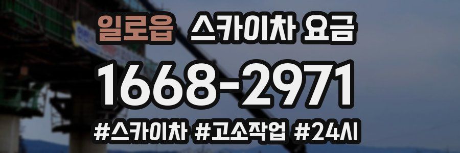 일로읍 스카이차 요금