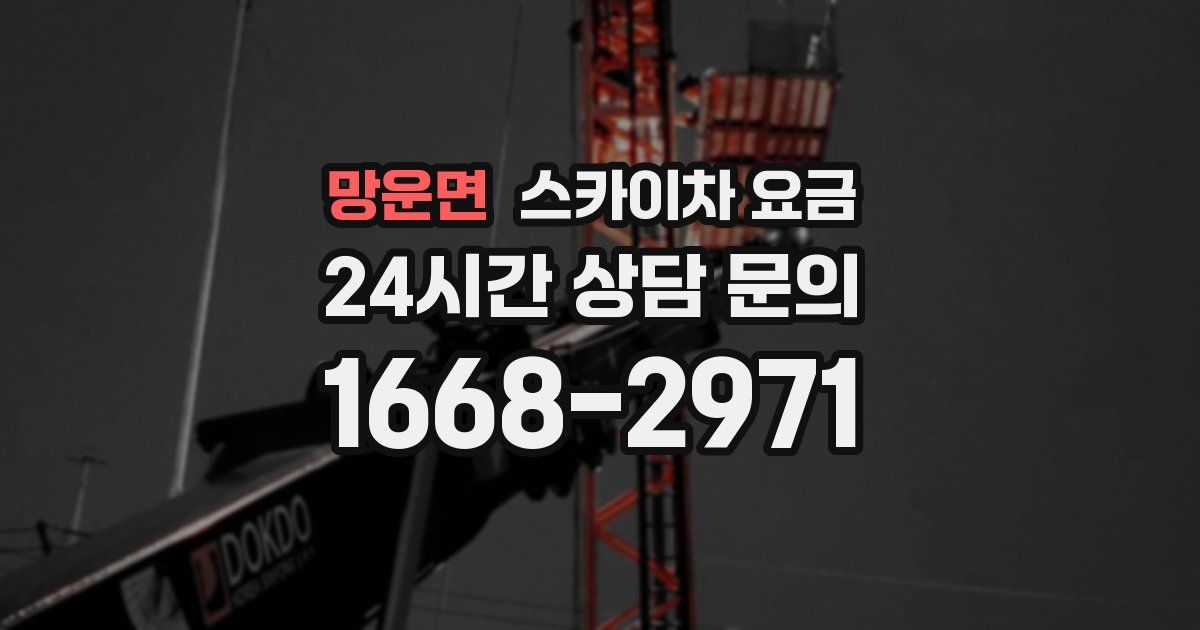 망운면 스카이차 요금