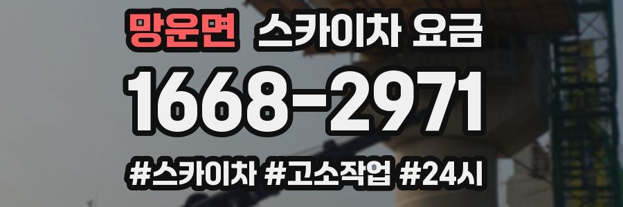 망운면 스카이차 요금
