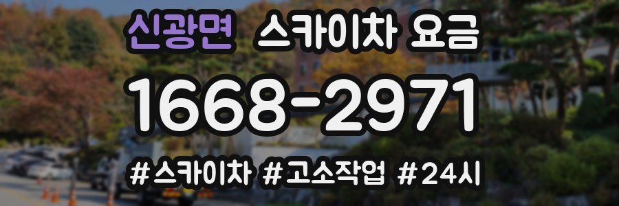 신광면 스카이차 요금