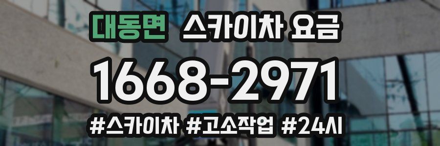 대동면 스카이차 요금