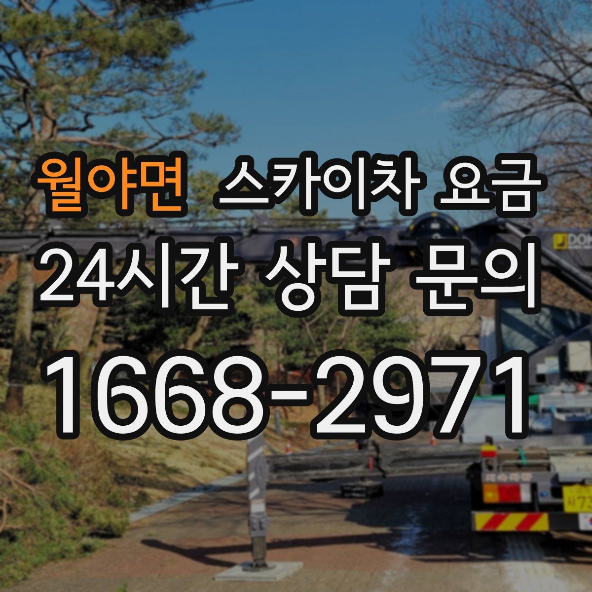 월야면 스카이차 요금