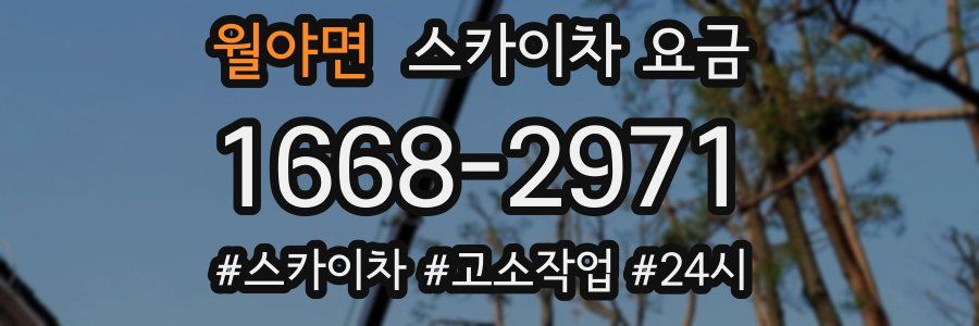 월야면 스카이차 요금