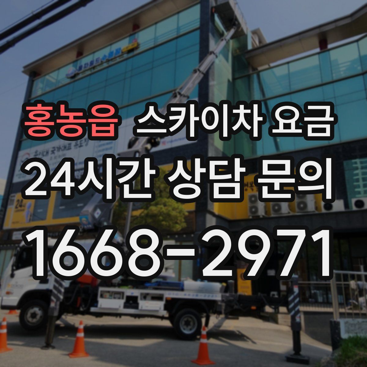 홍농읍 스카이차 요금