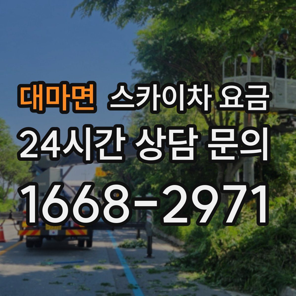 대마면 스카이차 요금