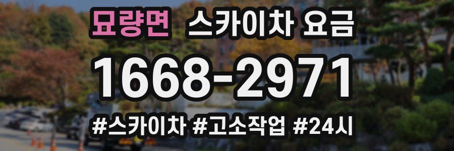 묘량면 스카이차 요금