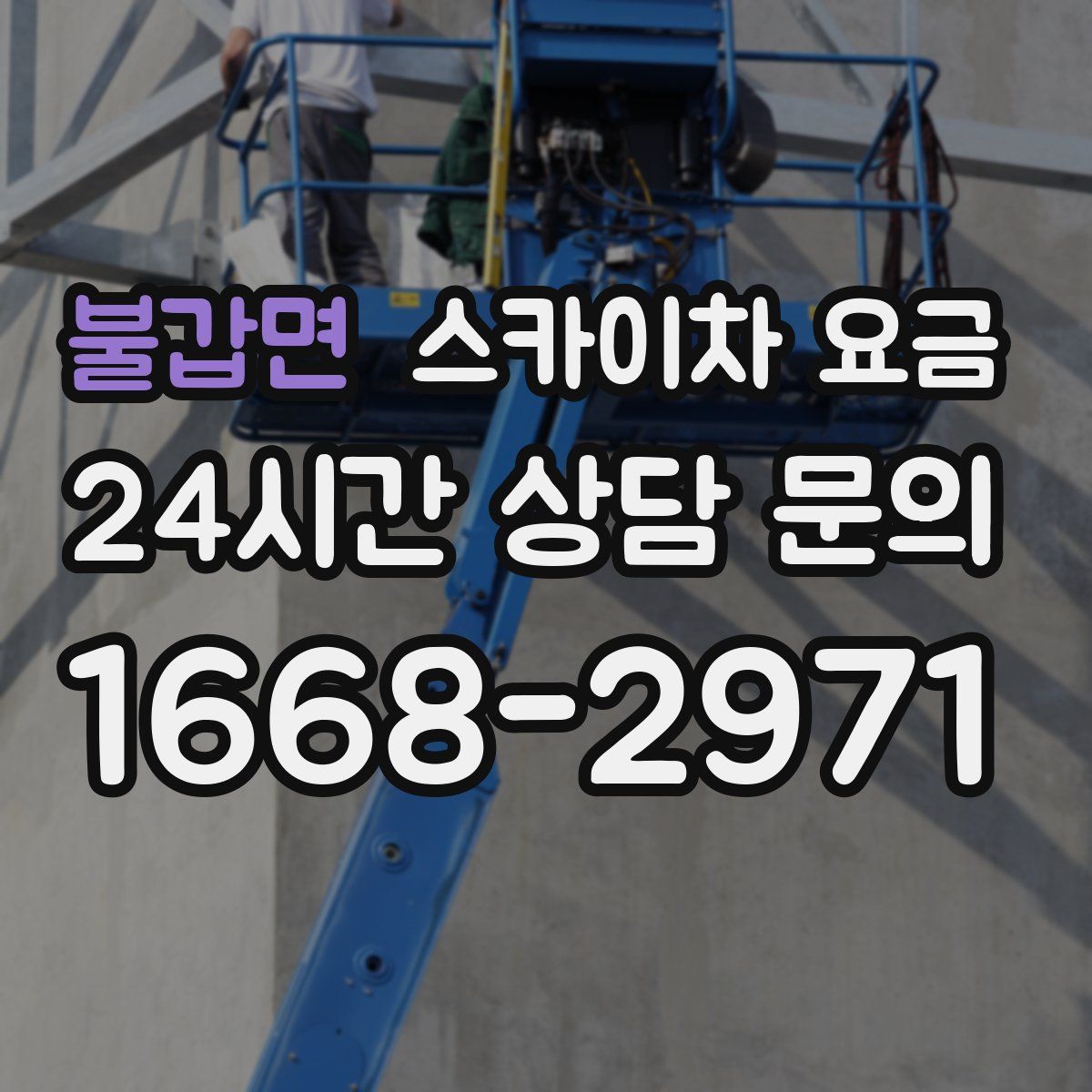 불갑면 스카이차 요금