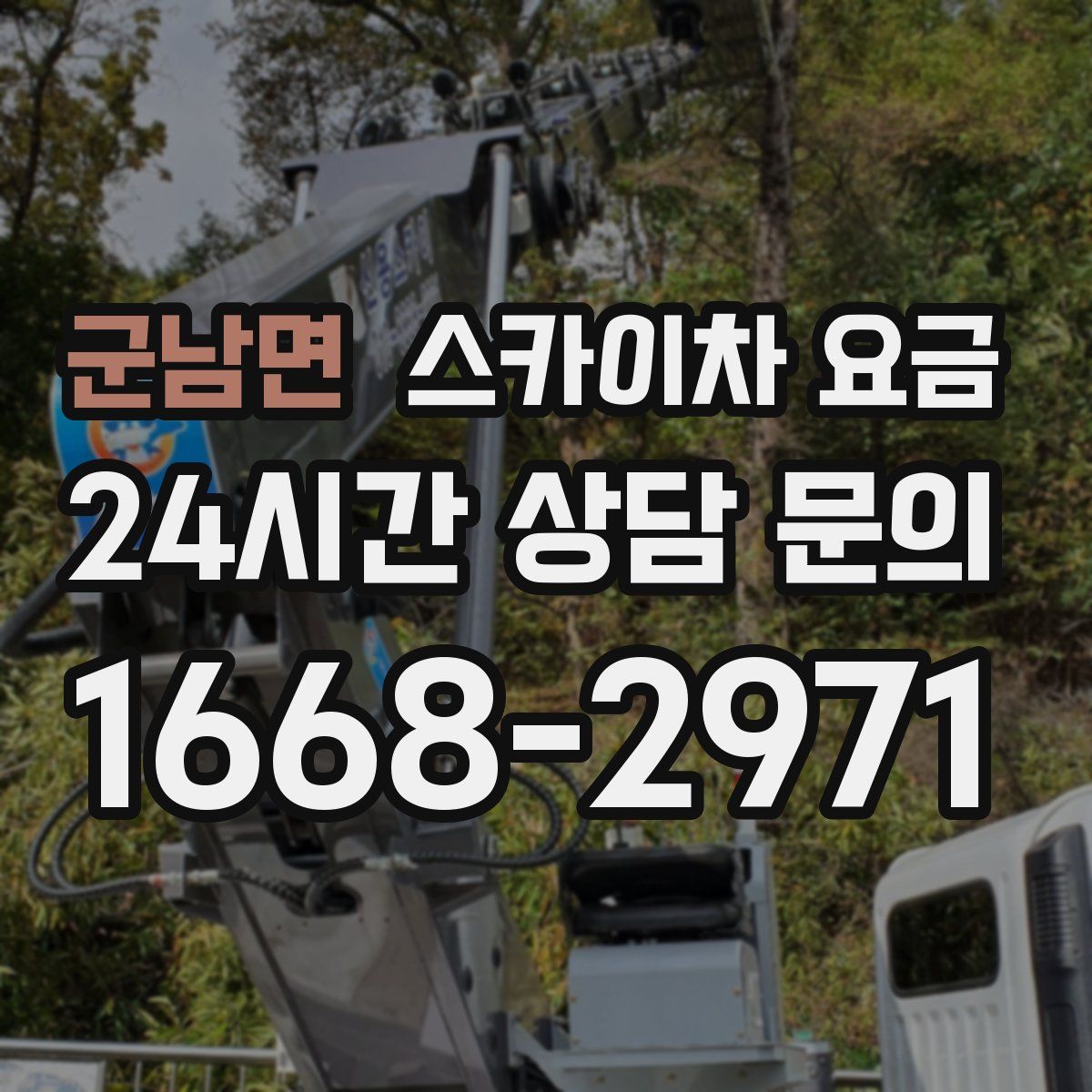 군남면 스카이차 요금